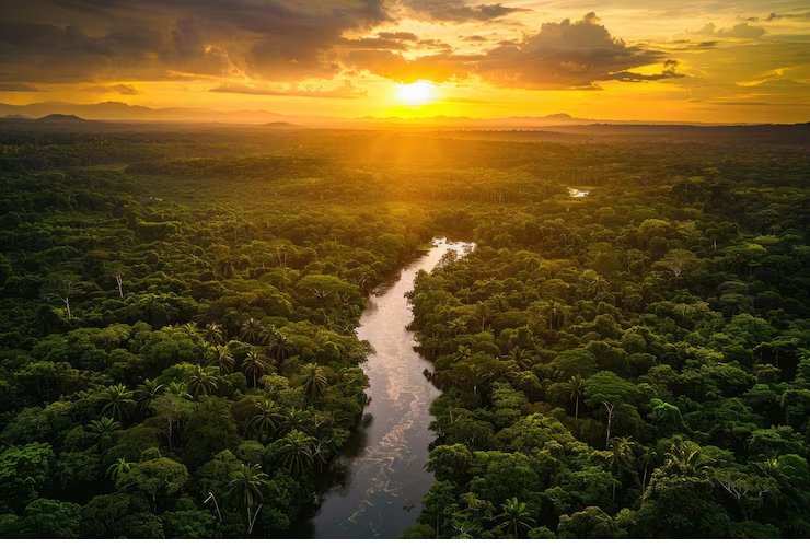Região Norte do Brasil: Amazônia, Turismo, Cultura e os Segredos da Maior Floresta Tropical do Mundo